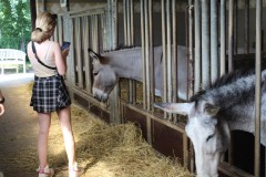 IMG_5845a