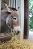 IMG_5855a