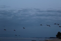 20210804053807_IMG_5897
