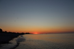 20210804055027_IMG_5916