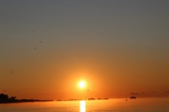 20210804061150_IMG_5990