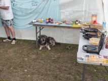 Buffetchef