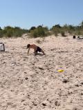 IMG-20260711-WA0009