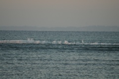 DSC00152