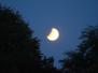 Lenste2019 - Mondfinsternis
