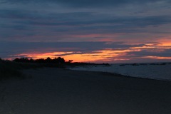 20200726050905_IMG_5014