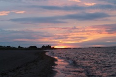 20200726053220_IMG_5077
