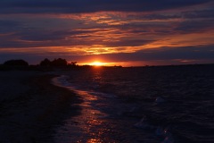 20200726053757_IMG_5087