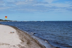 DSC_0570