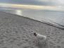Lenste2022 Strand