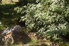 DSC08981
