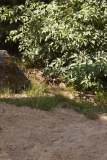 DSC08983