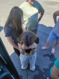 signal-2025-07-19-111230_004