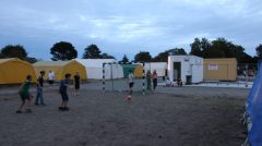 IMG_1264-800x445