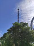 signal-2025-07-11-174121_032