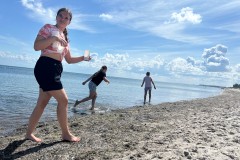 LENSTE2025 Muscheln