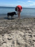 Muscheln3